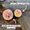 کاملترین کود درایران