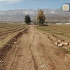 فروش زمین کشاورزی