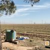 فروش زمین کشاورزی