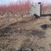 زمین باغ با موقعیت خوب ۸۰۰ متر