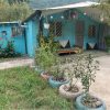 خونه باغ اجاره ای سوادکوه