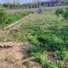 فروش یک باب خانه ویلایی کلنگی به مساحت ۱۰۰۰متر
