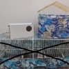 پرنده قفس عروس هلندی طوطی