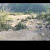 600 متر زمین در کوه پایه ییلاق تاریخی مریان اق اولر