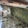 زمین ۲۳۶ متری کنیج کلا