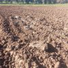 زمین مرغوب برای باغ و ویلا در روستای زیبای برمیس اهر
