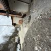 زمین ۲۳۶ متری کنیج کلا