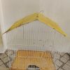 پرنده قفس عروس هلندی طوطی