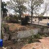 فروش زمین در روستایه سوته در شهرستان فریدون کنار