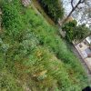 فروش زمین در روستایه سوته در شهرستان فریدون کنار