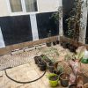 مهرگان دوطبقه نپاسازه