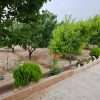 باغ ویلا باغچه