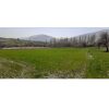 زمین کشاورزی سنددار سنندج