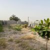 فروش زمین