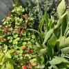 خانه ویلا شموشک بر جاده اصلی