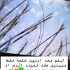 اسکراب اسکالپ /کراتین و احیا /فر دائم /ویتامینه،موخوره گیری (روغن تراپی)