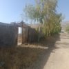 باغ شهری