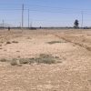 فروش زمین 1500 متری با موقعیت استثنایی روبهروی کاروانسرای شاهعباسی