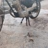 موتور سیکلت مزایده 150استارتی