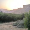باغ در منطقه اوچه سمیرم