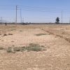 فروش زمین 1500 متری با موقعیت استثنایی روبهروی کاروانسرای شاهعباسی