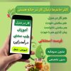 کار در منزل استقلال مالی ویژه بانوان