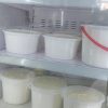 نیروی کار جهت کار در لبنیات