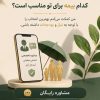 هم بیمه کن هم جایزه بگیر