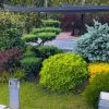 باغبانی.سمپاشی.گل وگیاه.هرس.فضای سبز