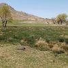 فروش زمین باغی و کشاورزی