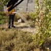 باغچه 300متری