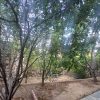 فروش ملک ویلایی