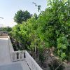 فروش باغ در شهرک صنعتی