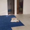 فروش خانه ویلایی