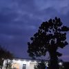 فروش خانه باغ در شمال کشور