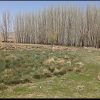 فروش زمین باغی و کشاورزی