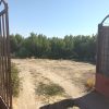 زمین کشاورزی باغ شلیل ۳ساله