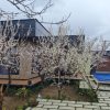 ویلای مدرن 350 متری فول فرنیش