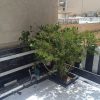 طراحی نما و دکوراسیون داخلی