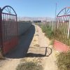 زمین کشاورزی باغ شلیل ۳ساله