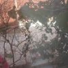 رهن و اجاره منزل مسکونی