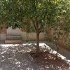 فروش خانه ویلایی