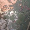 رهن و اجاره منزل مسکونی