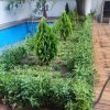 خدمات باغبانی و رسیدگی تخصصی به باغ باغچه ویلا و فضای سبز منزل شما