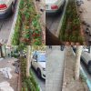 خدمات باغبانی و رسیدگی تخصصی به باغ باغچه ویلا و فضای سبز منزل شما