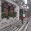 خدمات باغبانی و رسیدگی تخصصی به باغ باغچه ویلا و فضای سبز منزل شما
