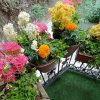 خدمات باغبانی و رسیدگی تخصصی به باغ باغچه ویلا و فضای سبز منزل شما
