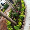 خدمات باغبانی و رسیدگی تخصصی به باغ باغچه ویلا و فضای سبز منزل شما