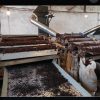 استخدام ۳ نفر کاری برای کارخانه چایی
