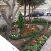 خدمات باغبانی هرسکاری گلکاری متخصص خاک گلدون درسراسر تهران